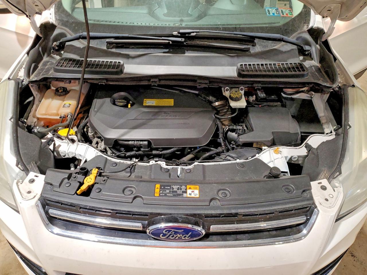 2013 Ford Escape Sel - zdjęcie 12