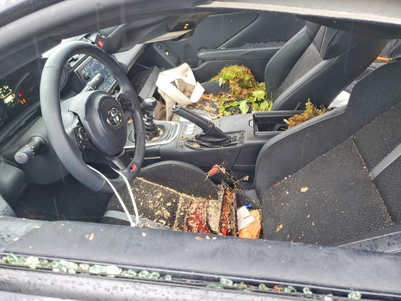 2025 Toyota Gr86 Premium - zdjęcie 7