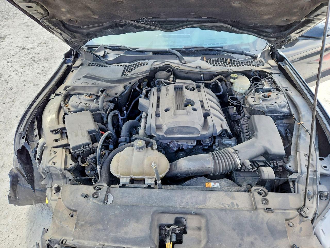 2017 Ford Mustang - zdjęcie 11