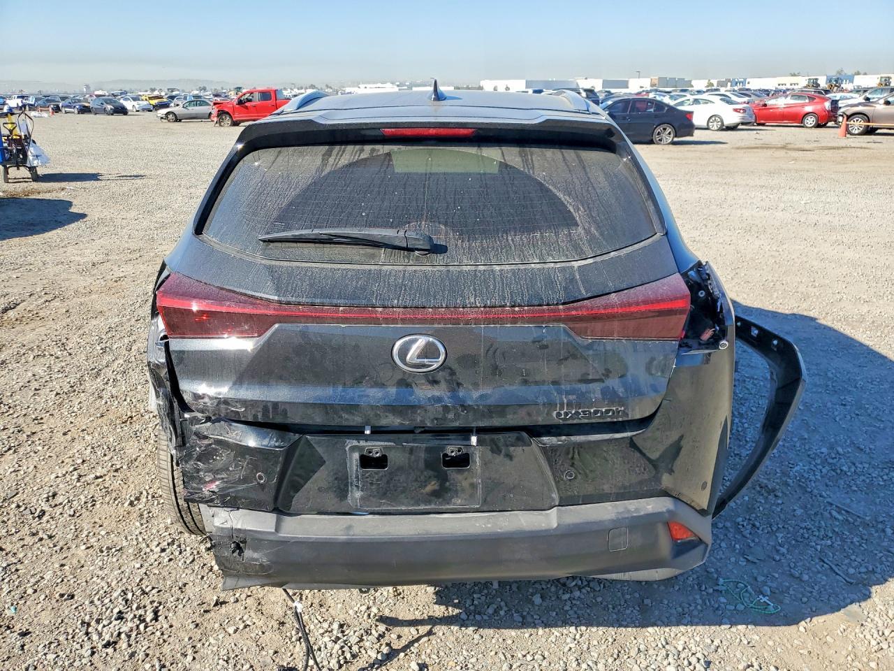 2025 Lexus Ux 300H Premium - zdjęcie 6