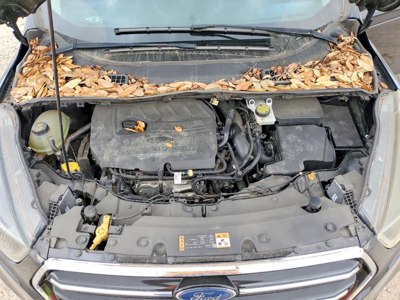 2018 Ford Escape Se - zdjęcie 12