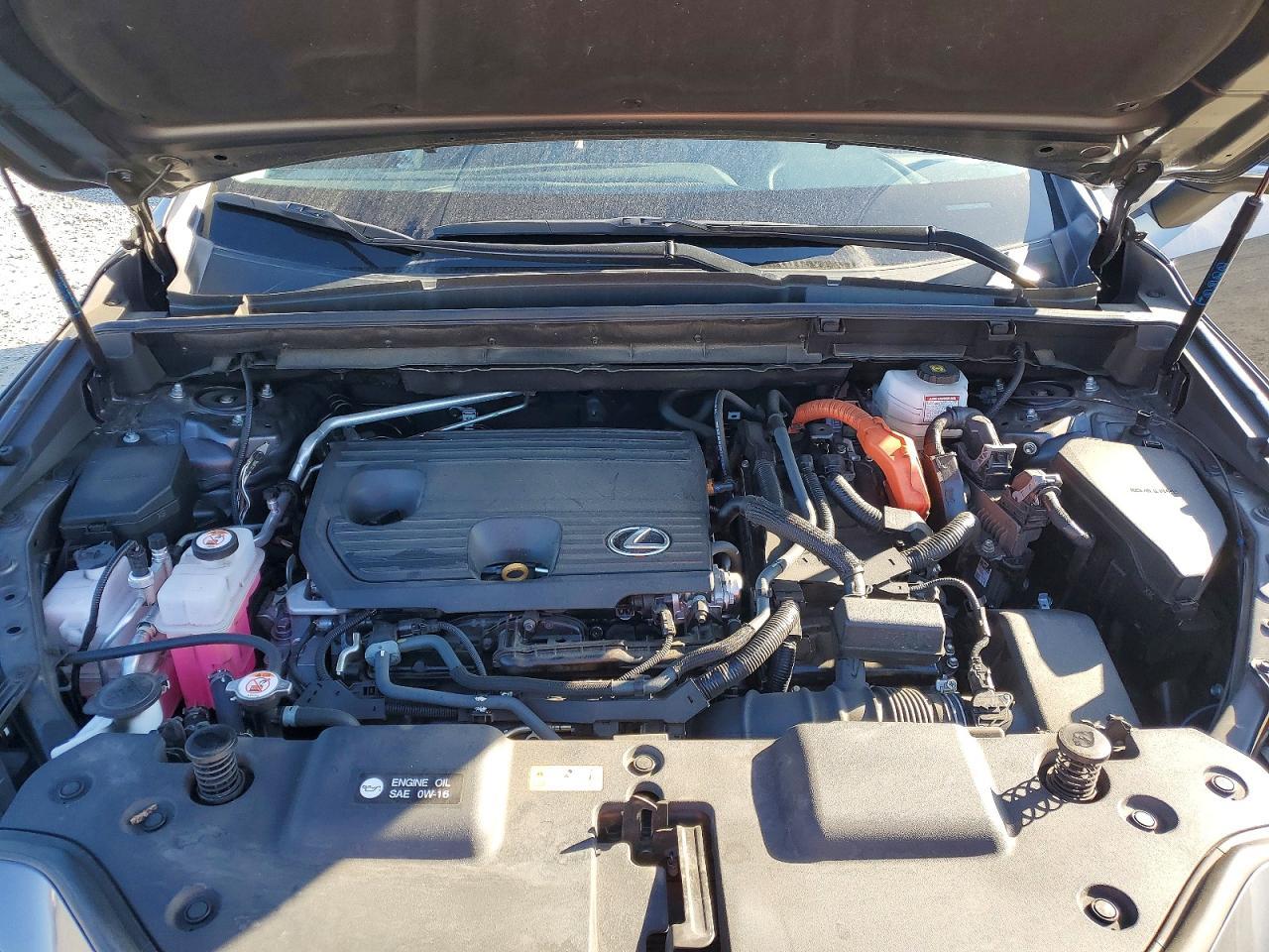 2024 Lexus Nx 350H Base - zdjęcie 12