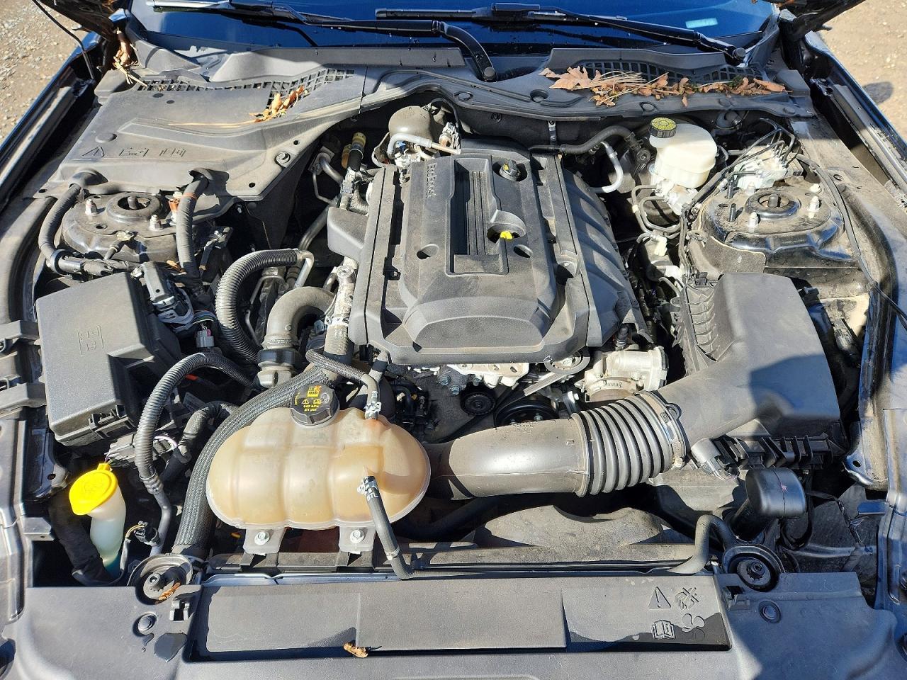 2019 Ford Mustang - zdjęcie 12