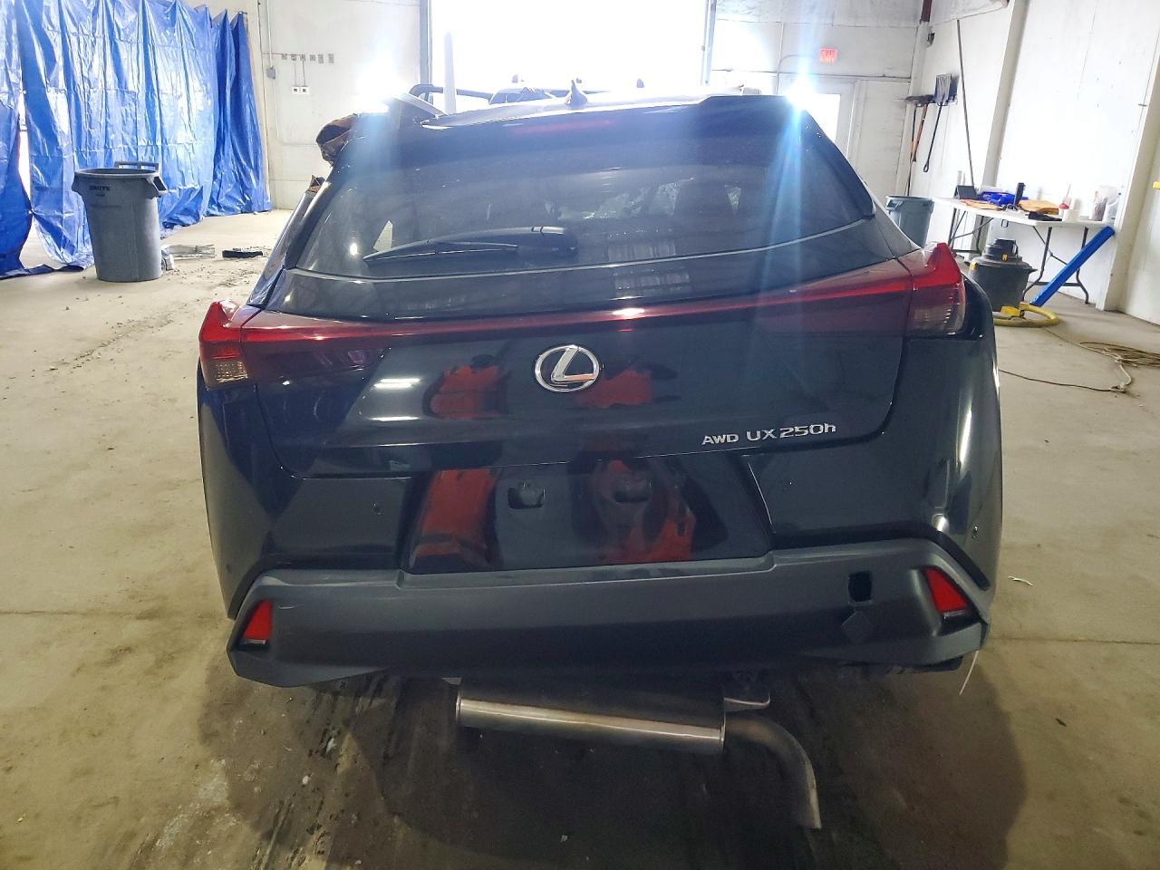 2024 Lexus Ux 250H Premium - zdjęcie 6