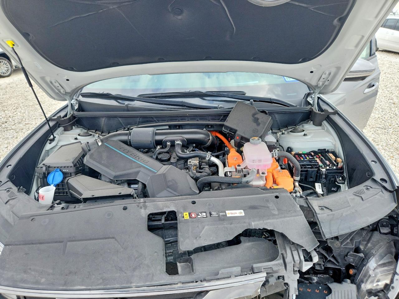 2025 Hyundai Tucson Hybrid Limited - zdjęcie 12