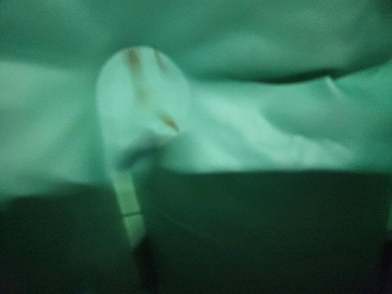 2024 Ford Mustang Mach-E Premium - zdjęcie 10