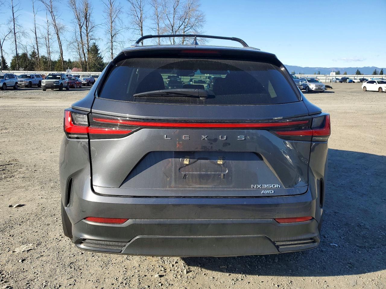 2024 Lexus Nx 350H Base - zdjęcie 6