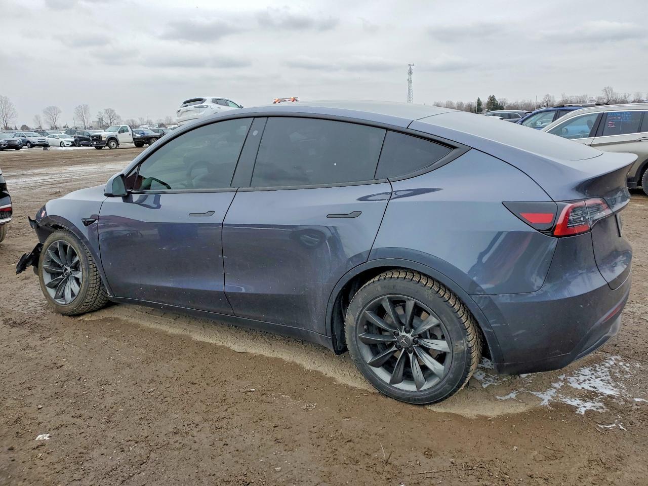 2023 Tesla Model Y - zdjęcie 2