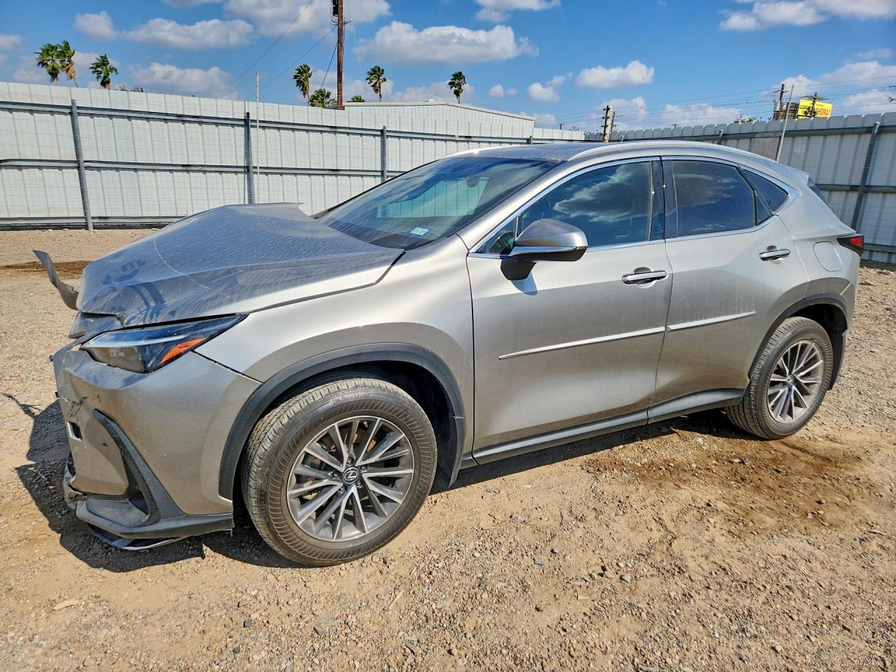 2024 Lexus Nx - zdjęcie główne