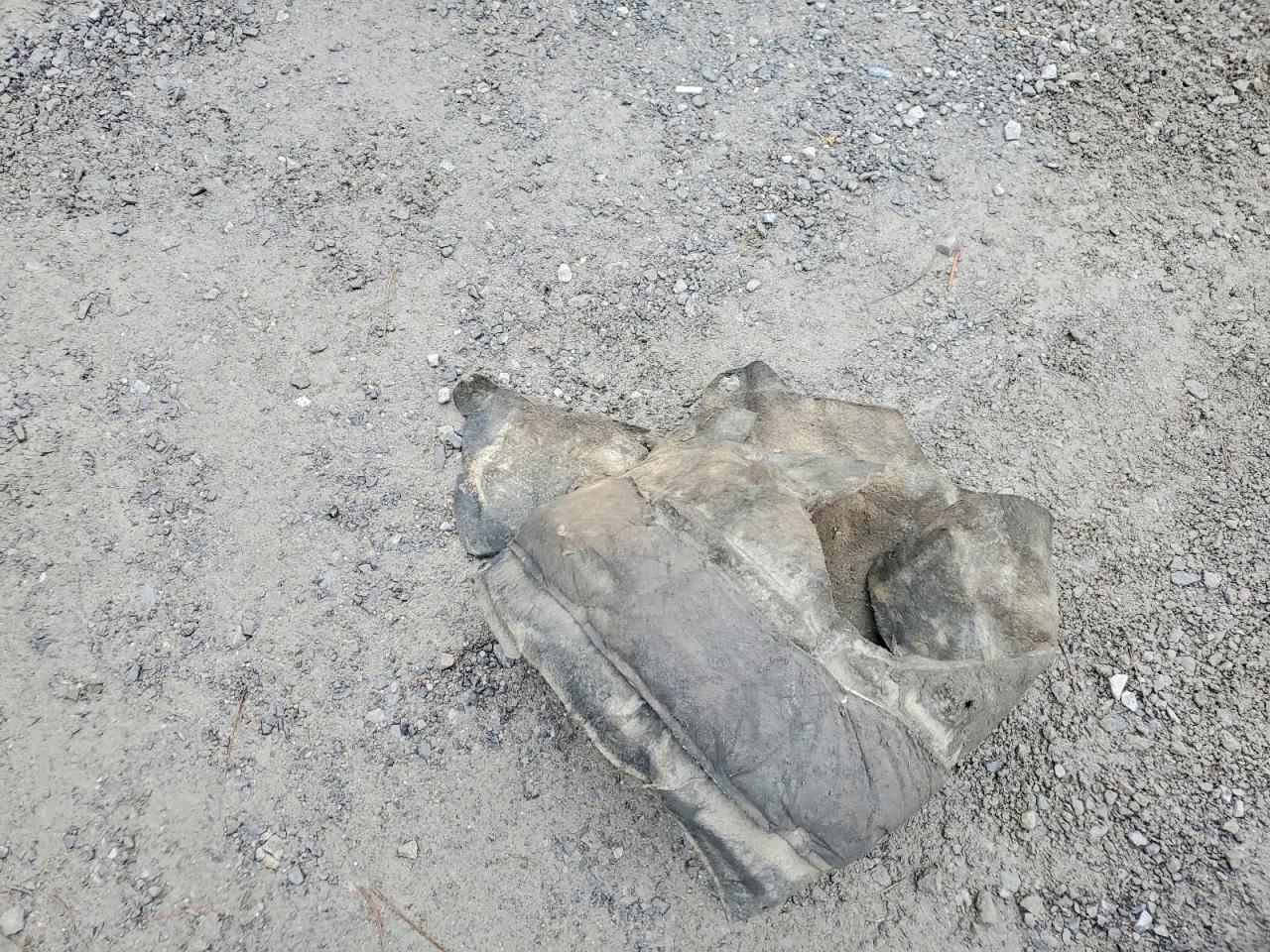 2019 Honda Cr-V Ex - zdjęcie 13