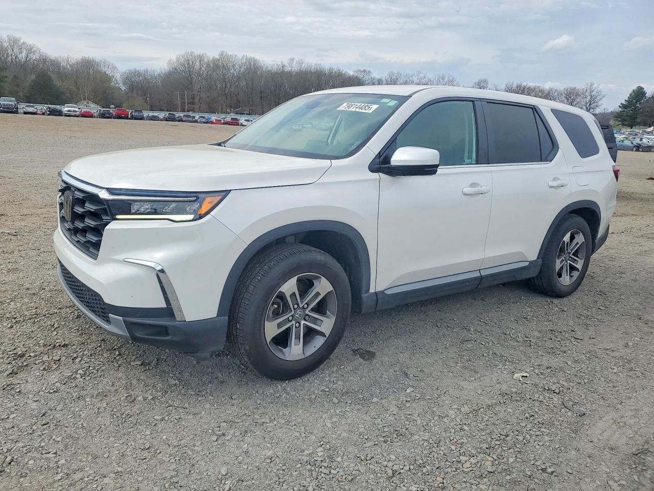 2025 Honda Pilot Exl - zdjęcie główne