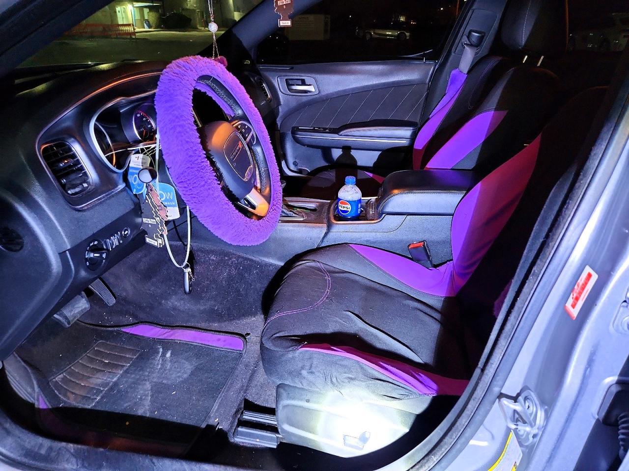 2017 Dodge Charger Sxt - zdjęcie 7