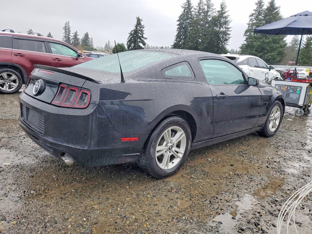 2013 Ford Mustang - zdjęcie 3