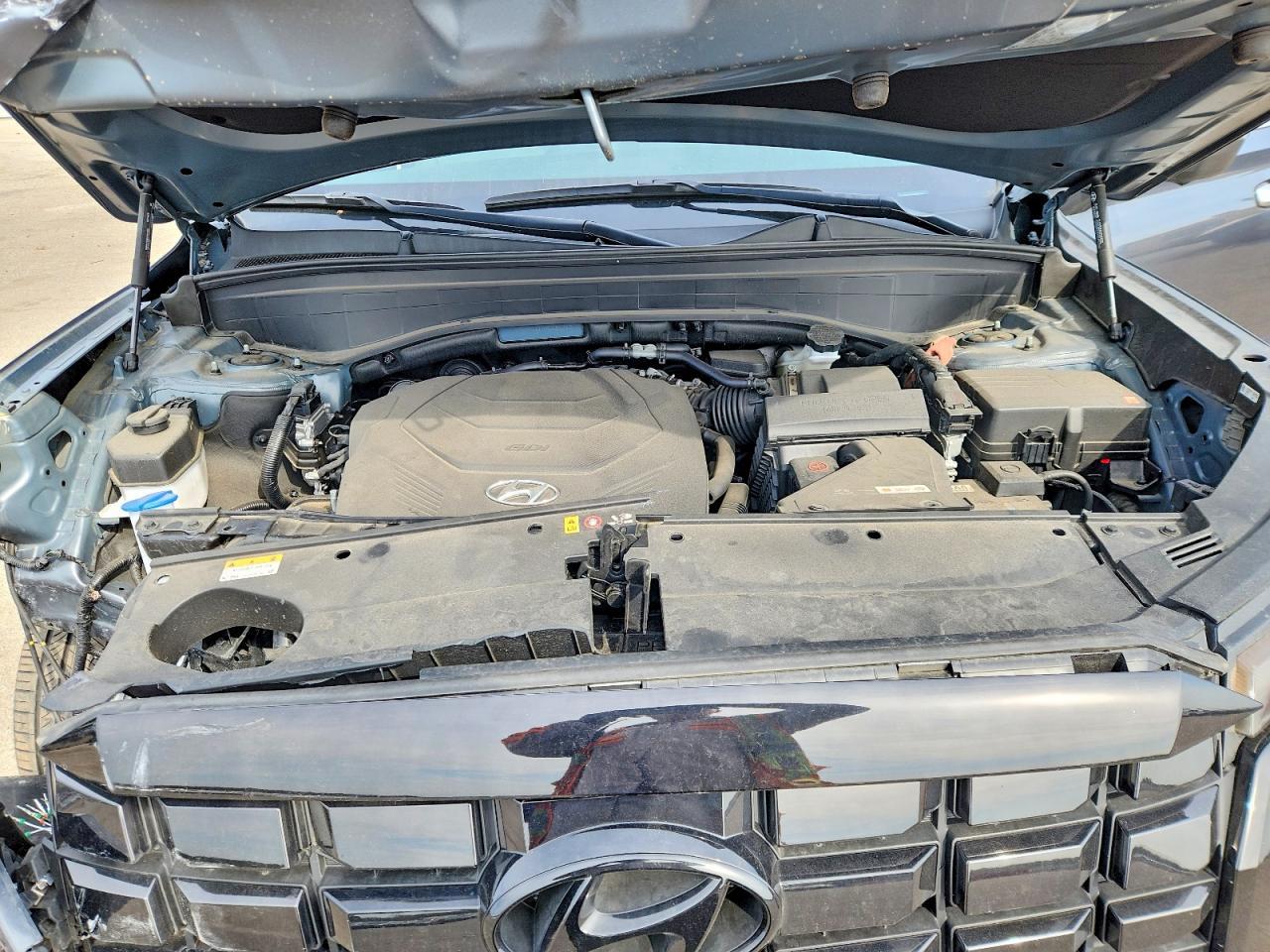 2024 Hyundai Palisade Sel - zdjęcie 12