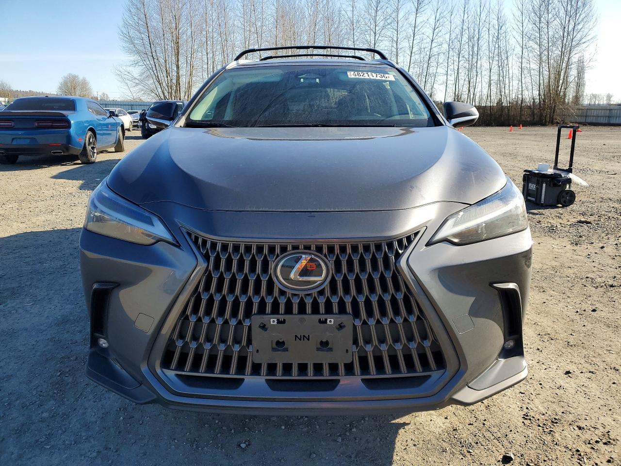 2024 Lexus Nx 350H Base - zdjęcie 5