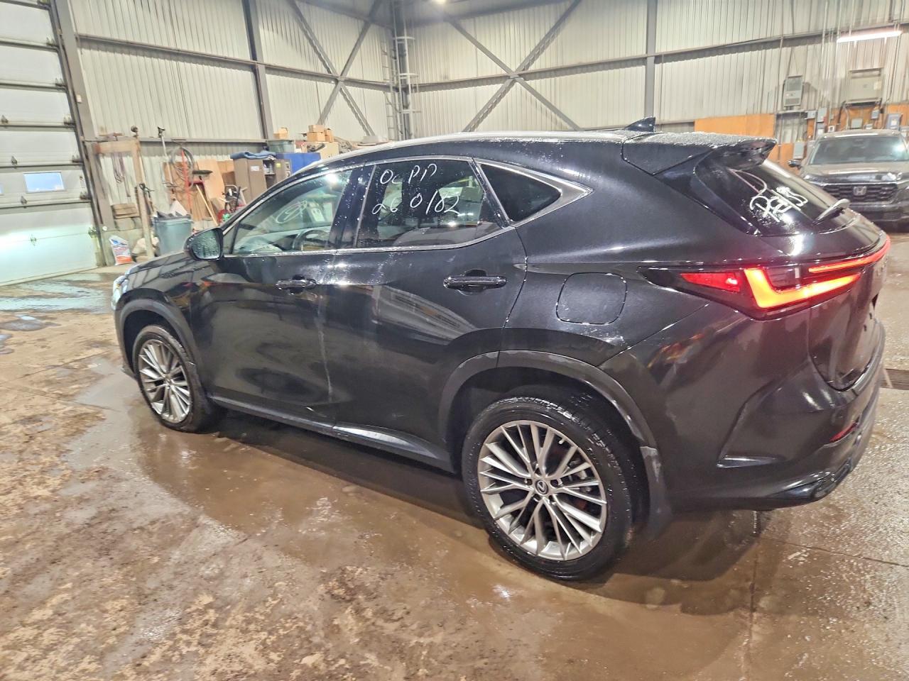 2023 Lexus Nx 350 Premium - zdjęcie 2