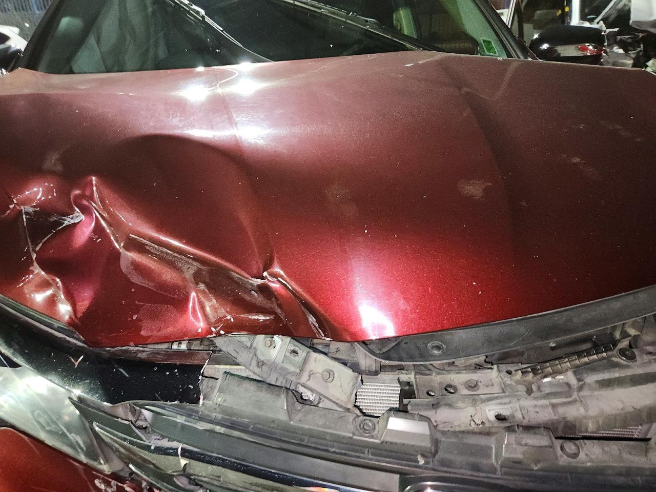 2018 Honda Pilot Exl - zdjęcie 12