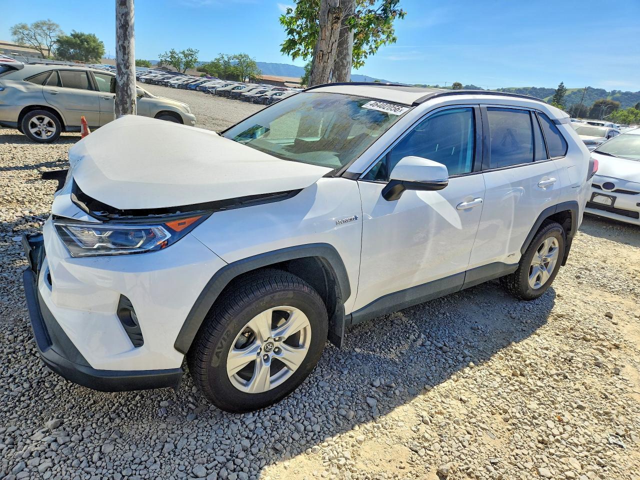 2019 Toyota Rav4 Hybrid Xle - zdjęcie główne