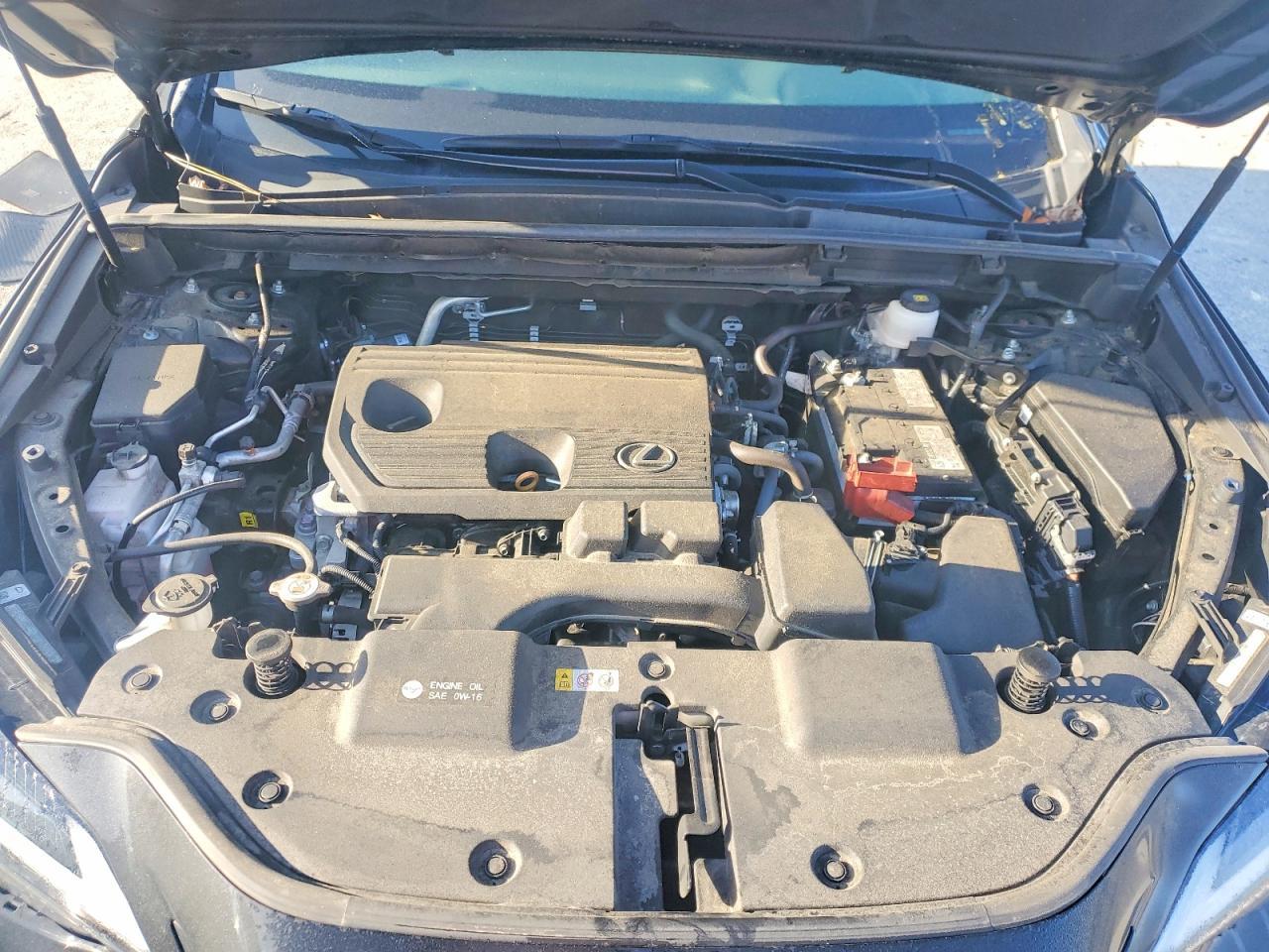 2024 Lexus Nx 250 Premium - zdjęcie 12