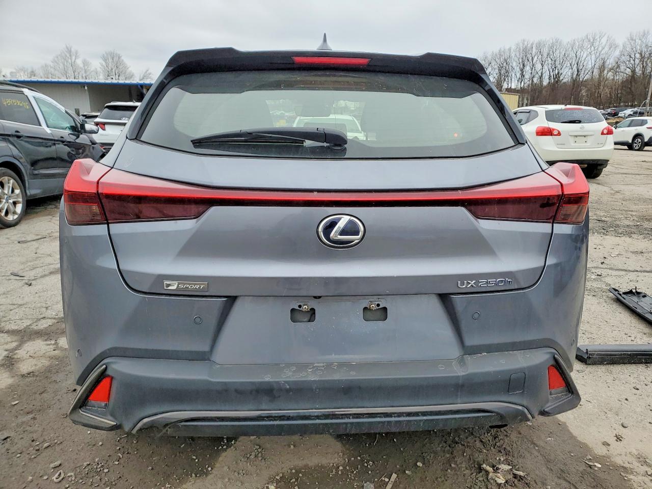 2021 Lexus Ux 250H F Sport - zdjęcie 6