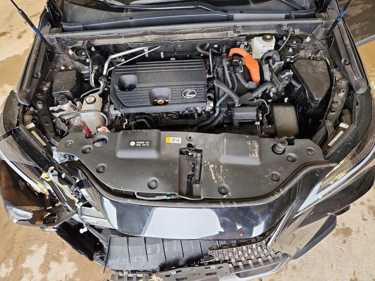 2024 Lexus Nx 350H Luxury - zdjęcie 11