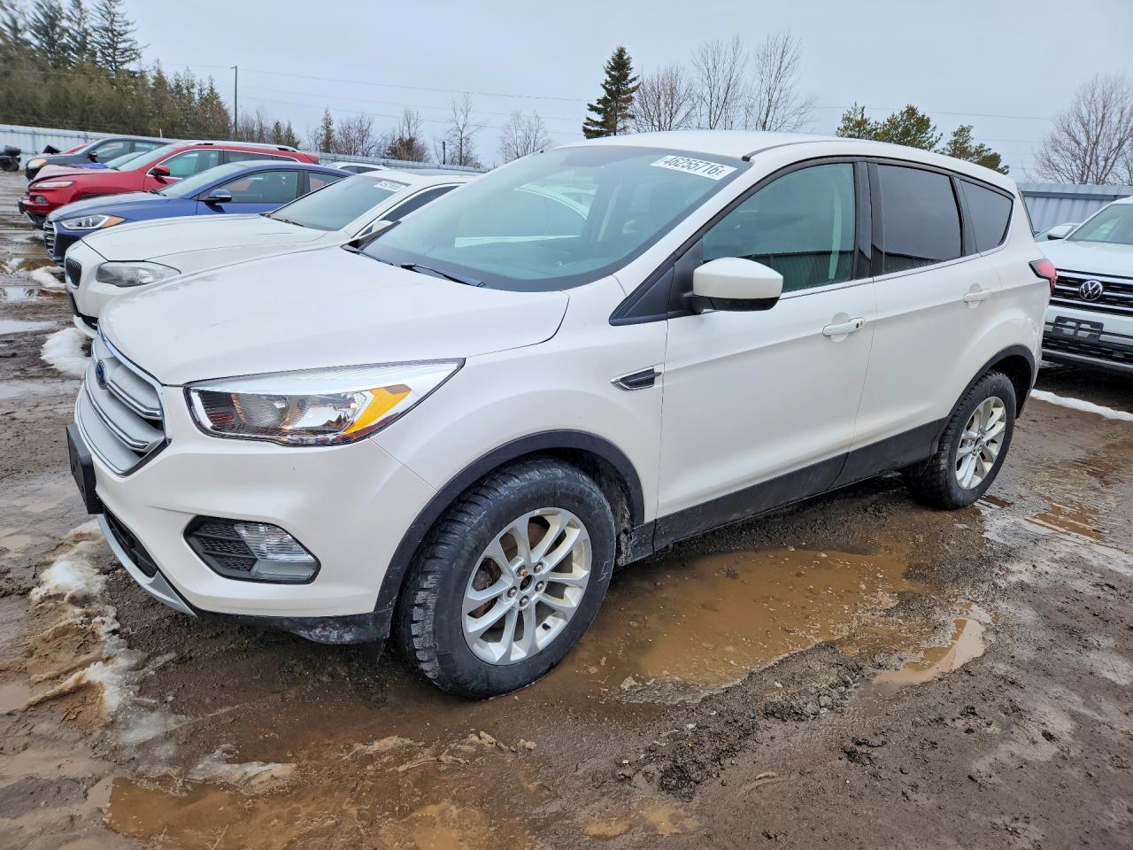 2019 Ford Escape Se - zdjęcie główne