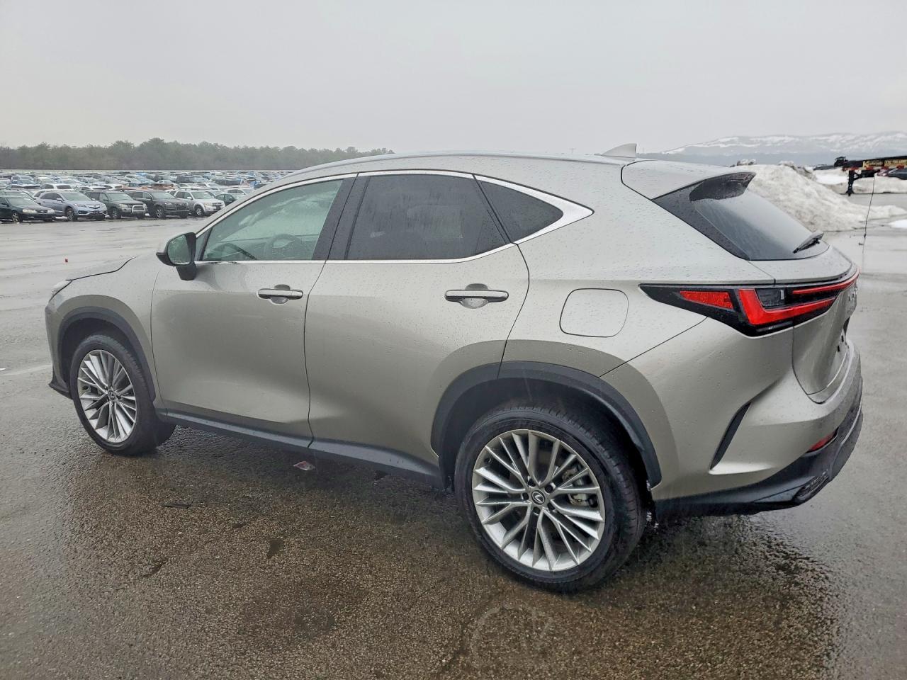 2025 Lexus Nx 350 Premium - zdjęcie 2
