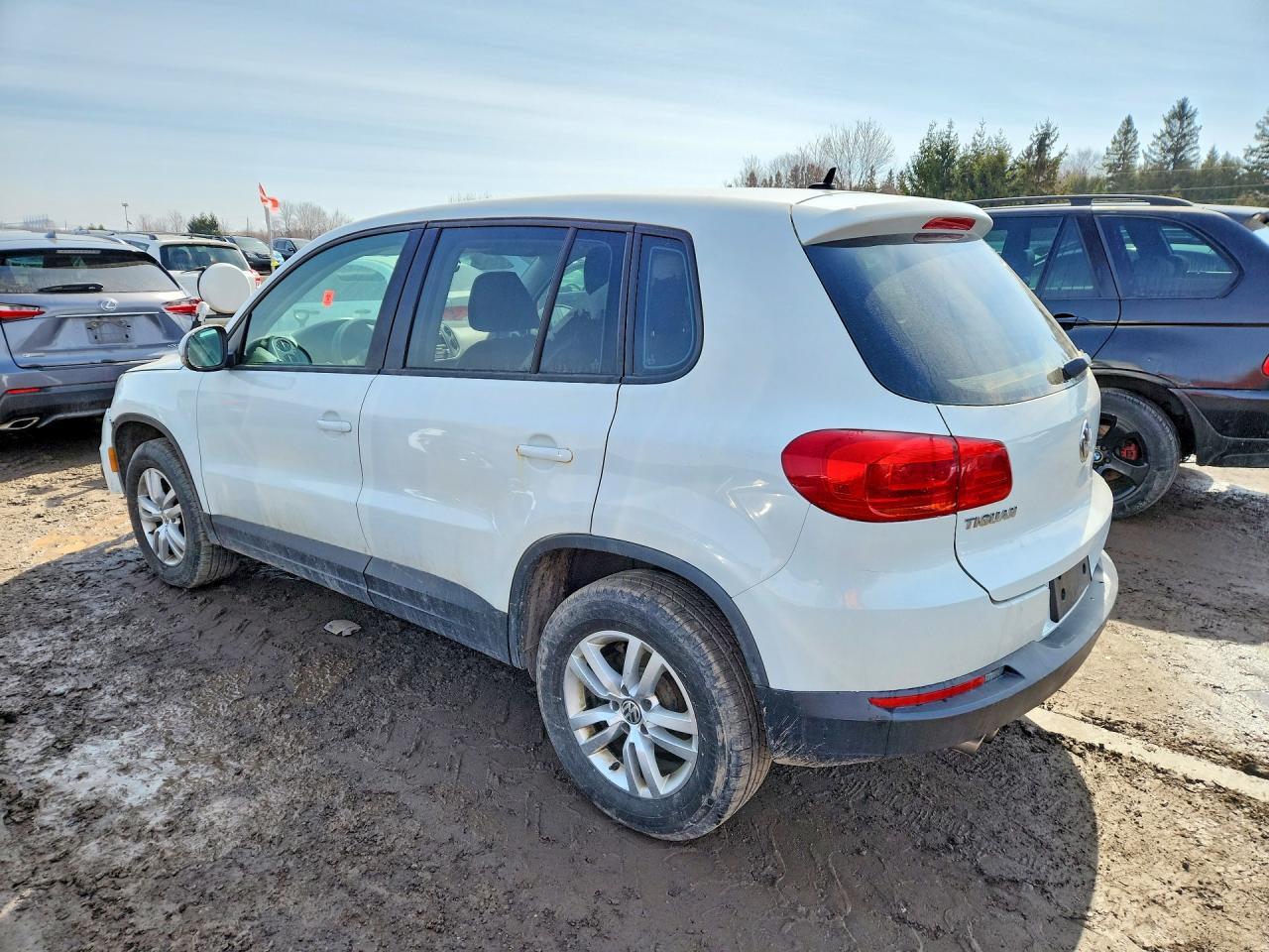 2015 Volkswagen Tiguan S - zdjęcie 2