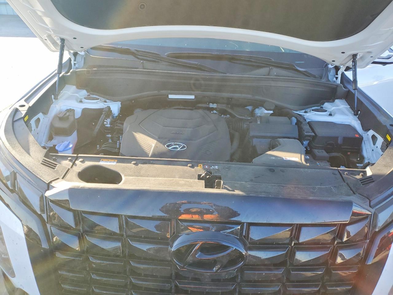 2025 Hyundai Palisade Calligraphy Night Edition - zdjęcie 12