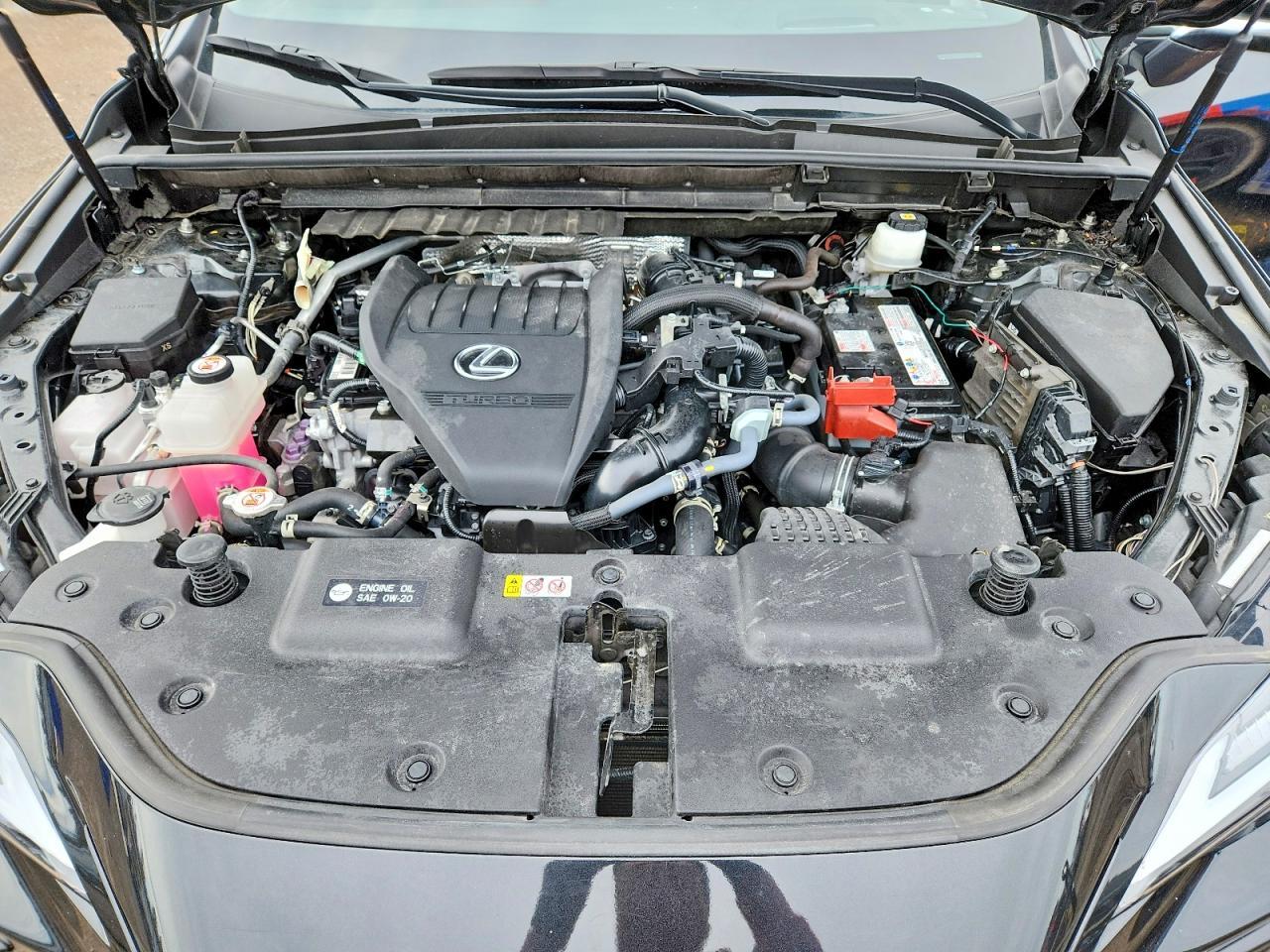 2022 Lexus Nx 350 F Sport Handling - zdjęcie 12