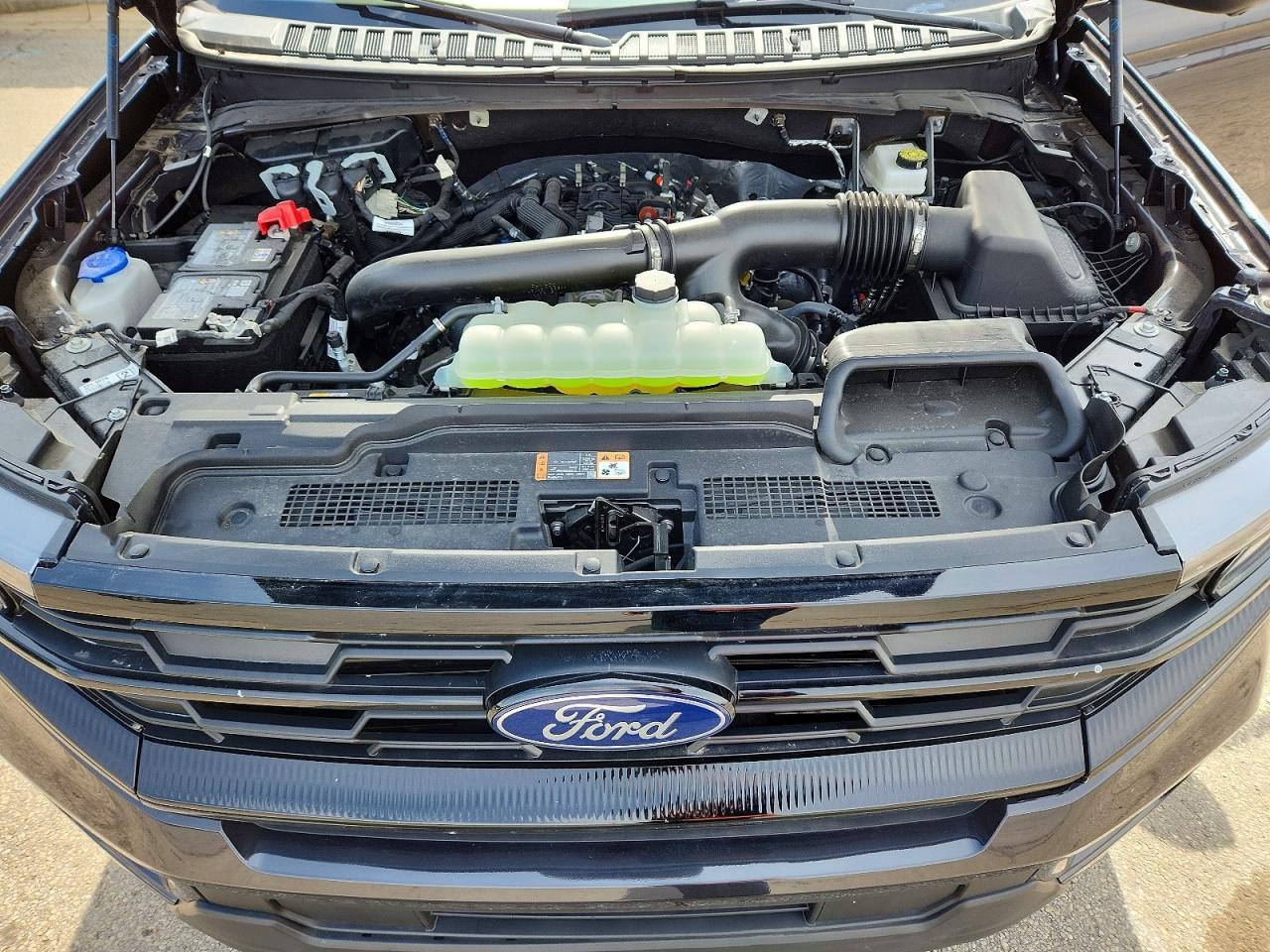 2025 Ford Expedition Max Active - zdjęcie 12