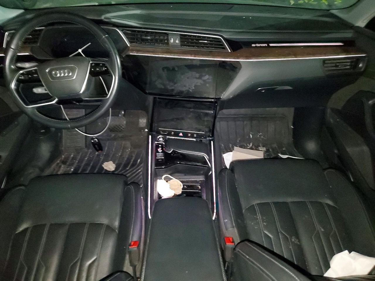 2019 Audi E-Tron Prestige - zdjęcie 8