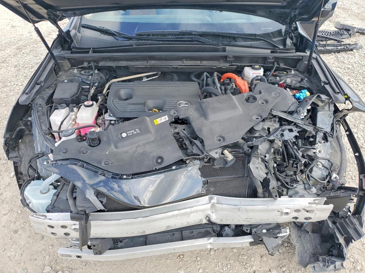 2024 Lexus Nx 350H Premium - zdjęcie 12