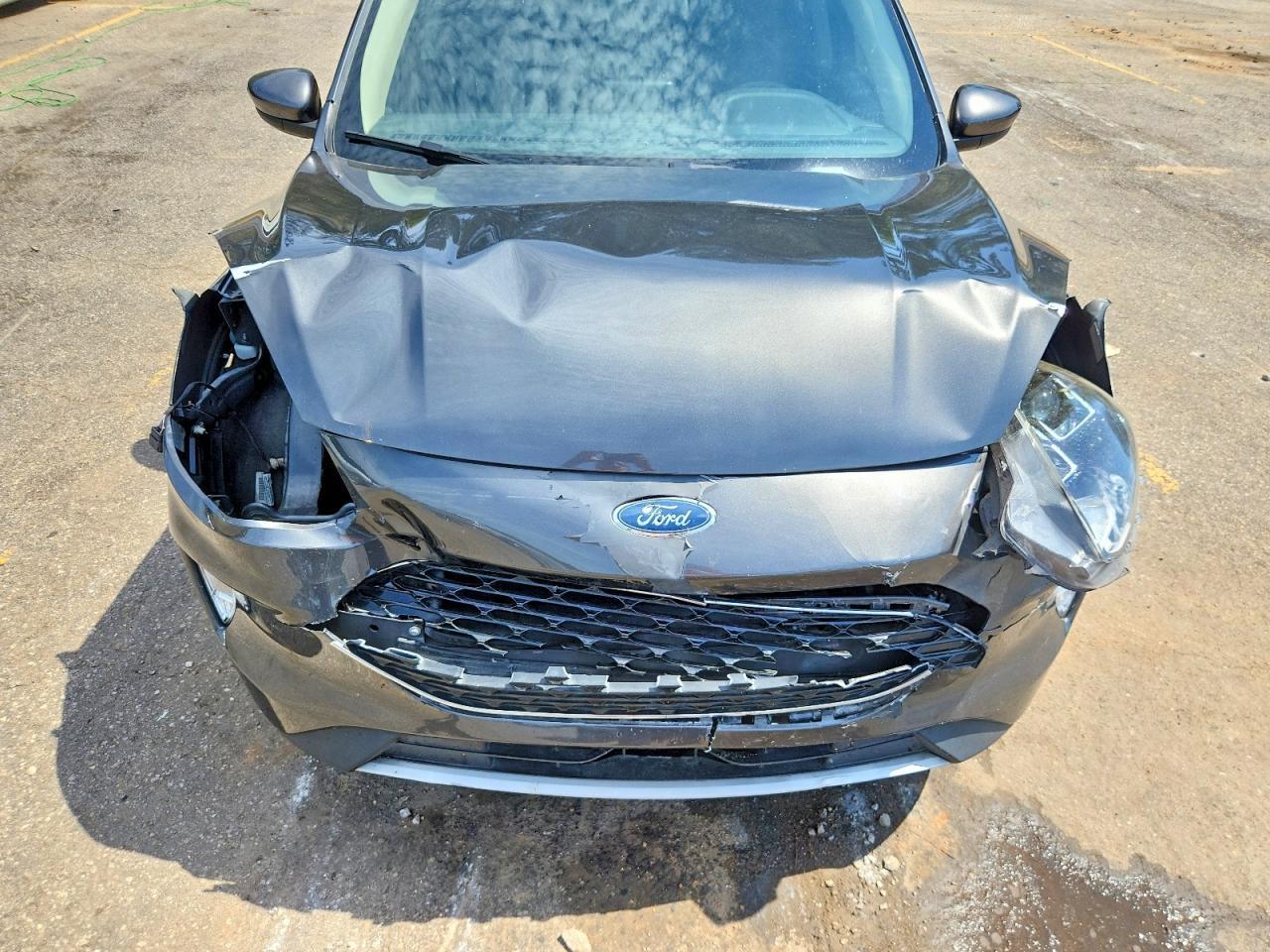 2020 Ford Escape Sel - zdjęcie 12