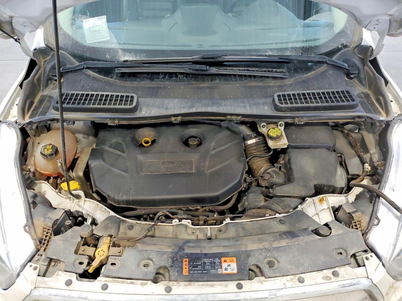 2019 Ford Escape Sel - zdjęcie 11