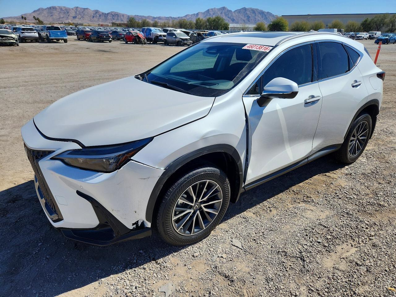 2024 Lexus Nx 350H Premium - zdjęcie główne