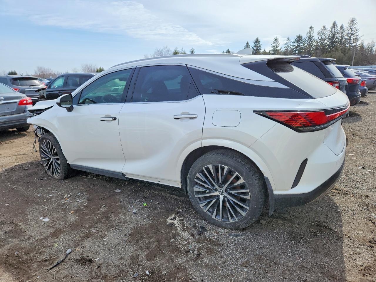 2024 Lexus Rx 350H Base - zdjęcie 2