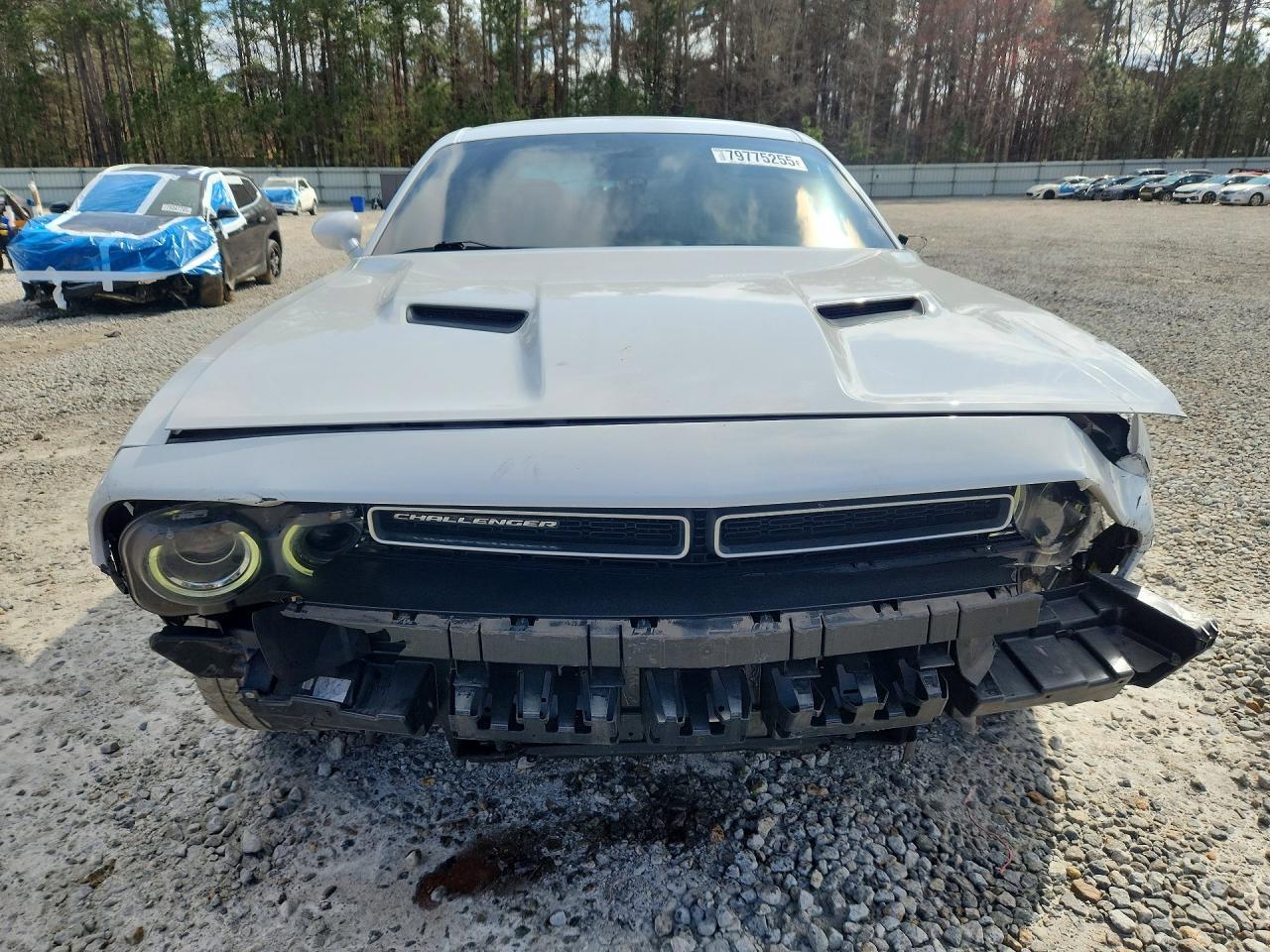 2020 Dodge Challenger Sxt - zdjęcie 5