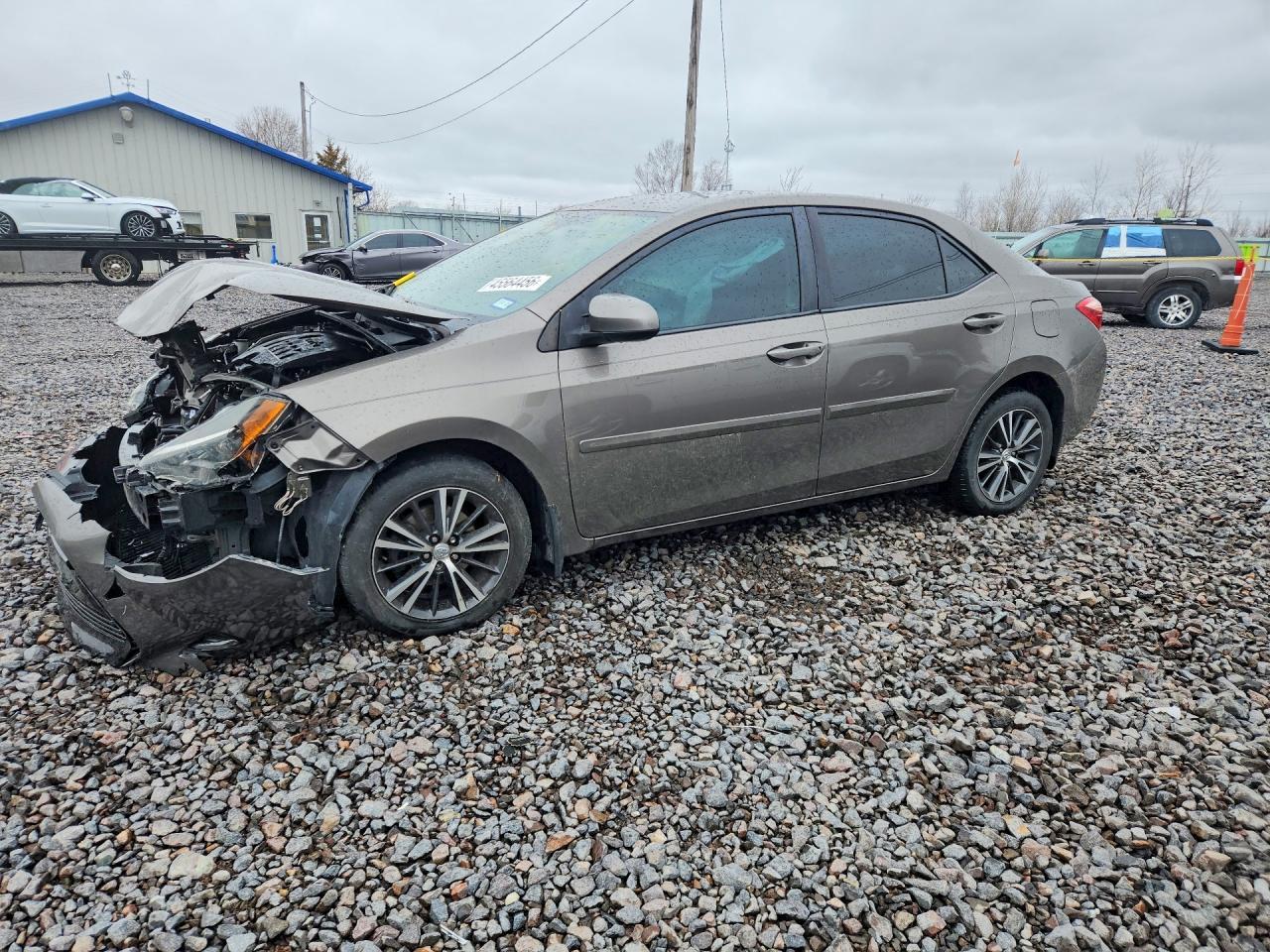 2019 Toyota Corolla Le - zdjęcie główne
