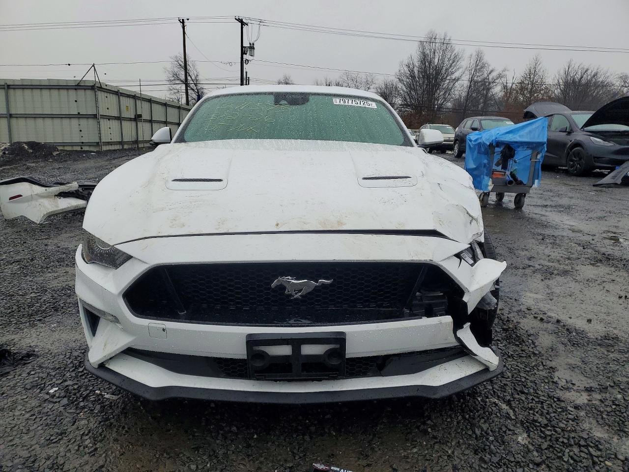 2023 Ford Mustang Gt - zdjęcie 5