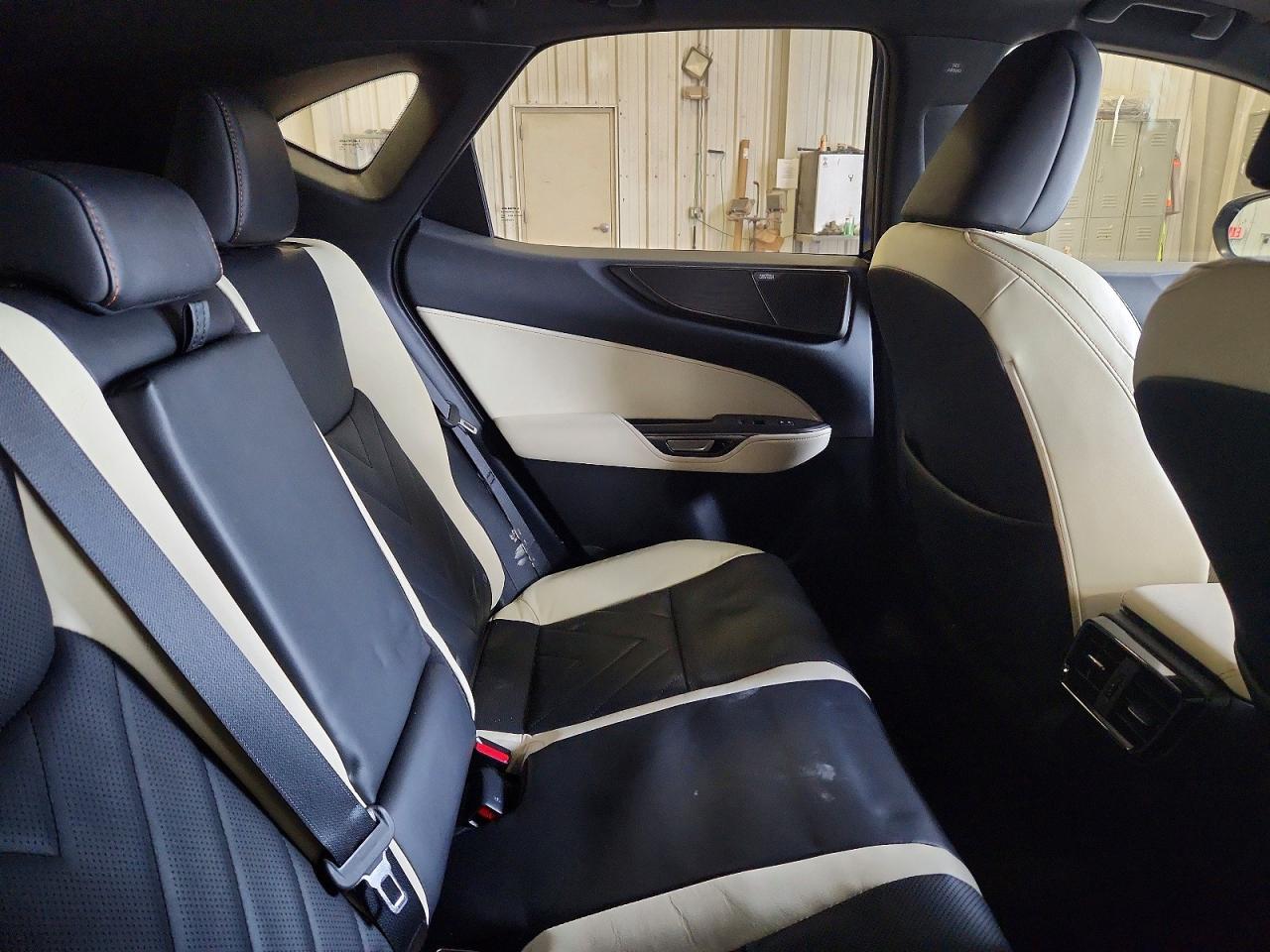 2024 Lexus Nx 350H Luxury - zdjęcie 10