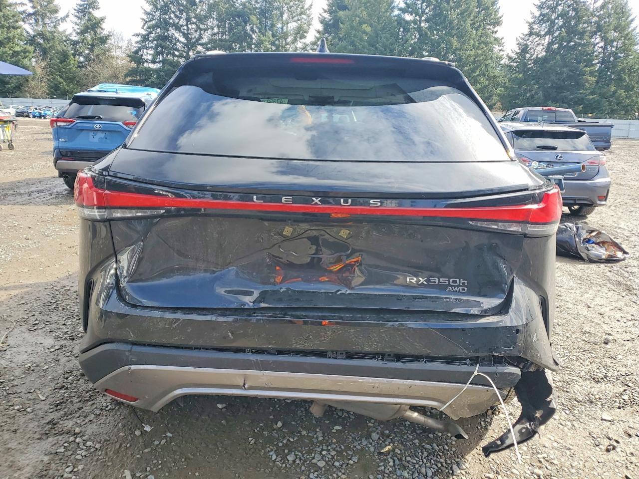 2026 Lexus Rx 350H Luxury - zdjęcie 6