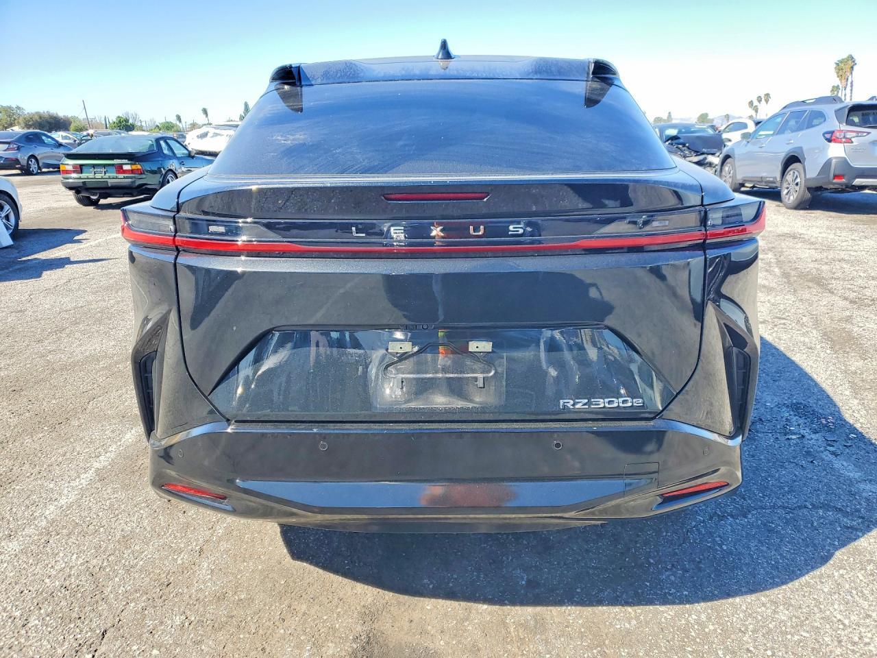 2024 Lexus Rz 300E Premium - zdjęcie 6