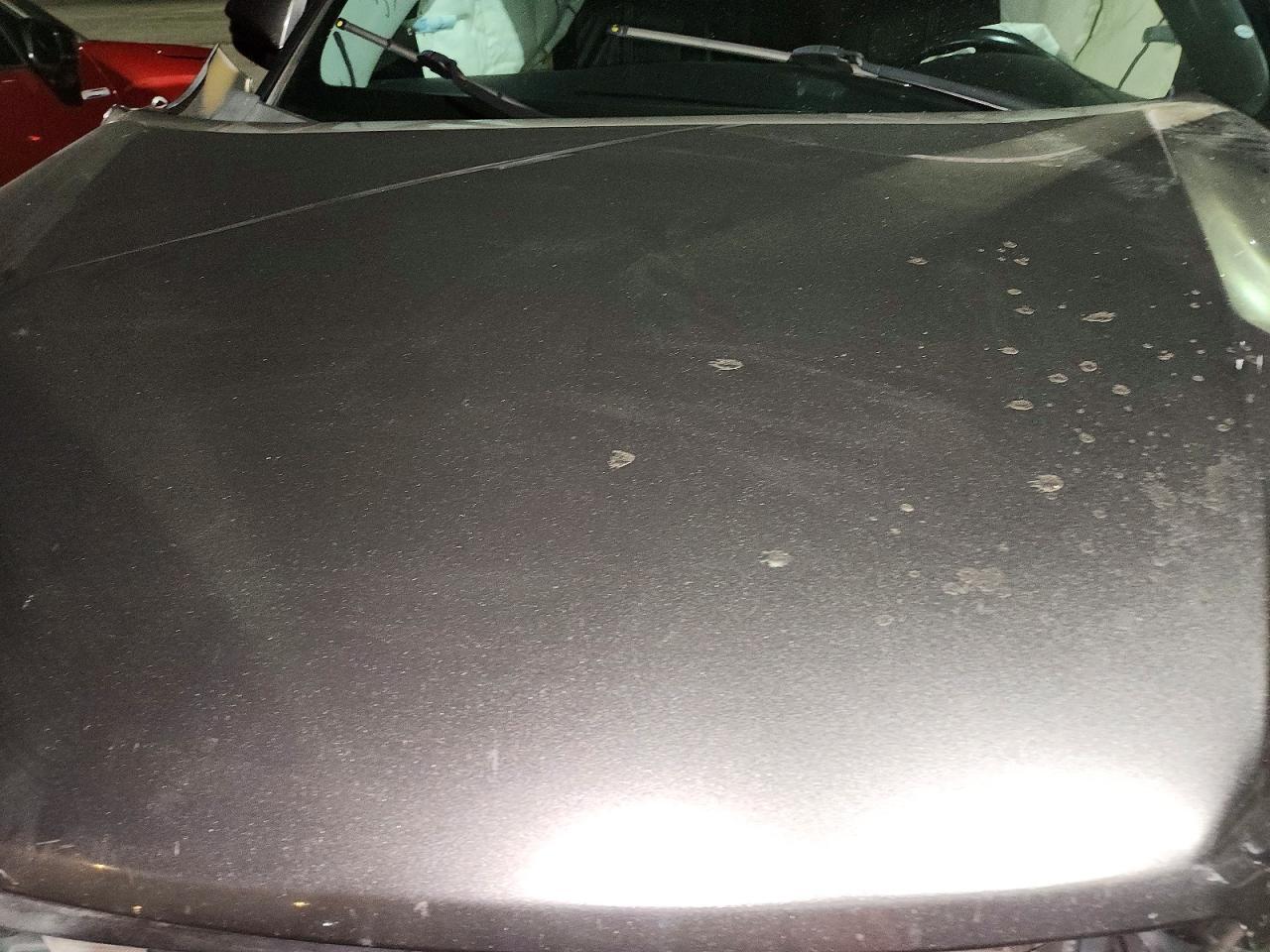 2018 Toyota Highlander Se - zdjęcie 12