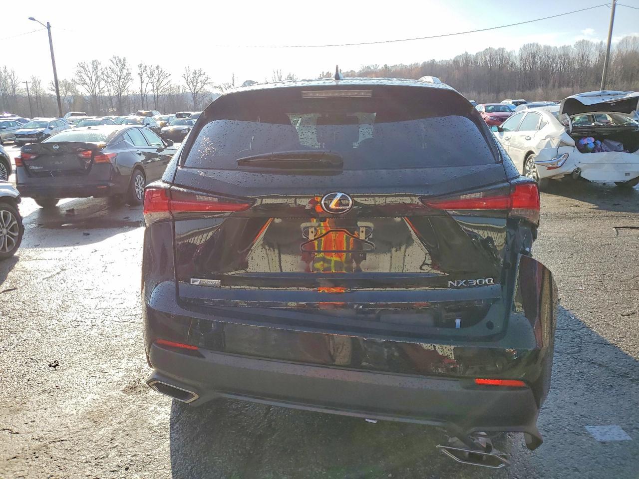 2021 Lexus Nx 300 F Sport - zdjęcie 6