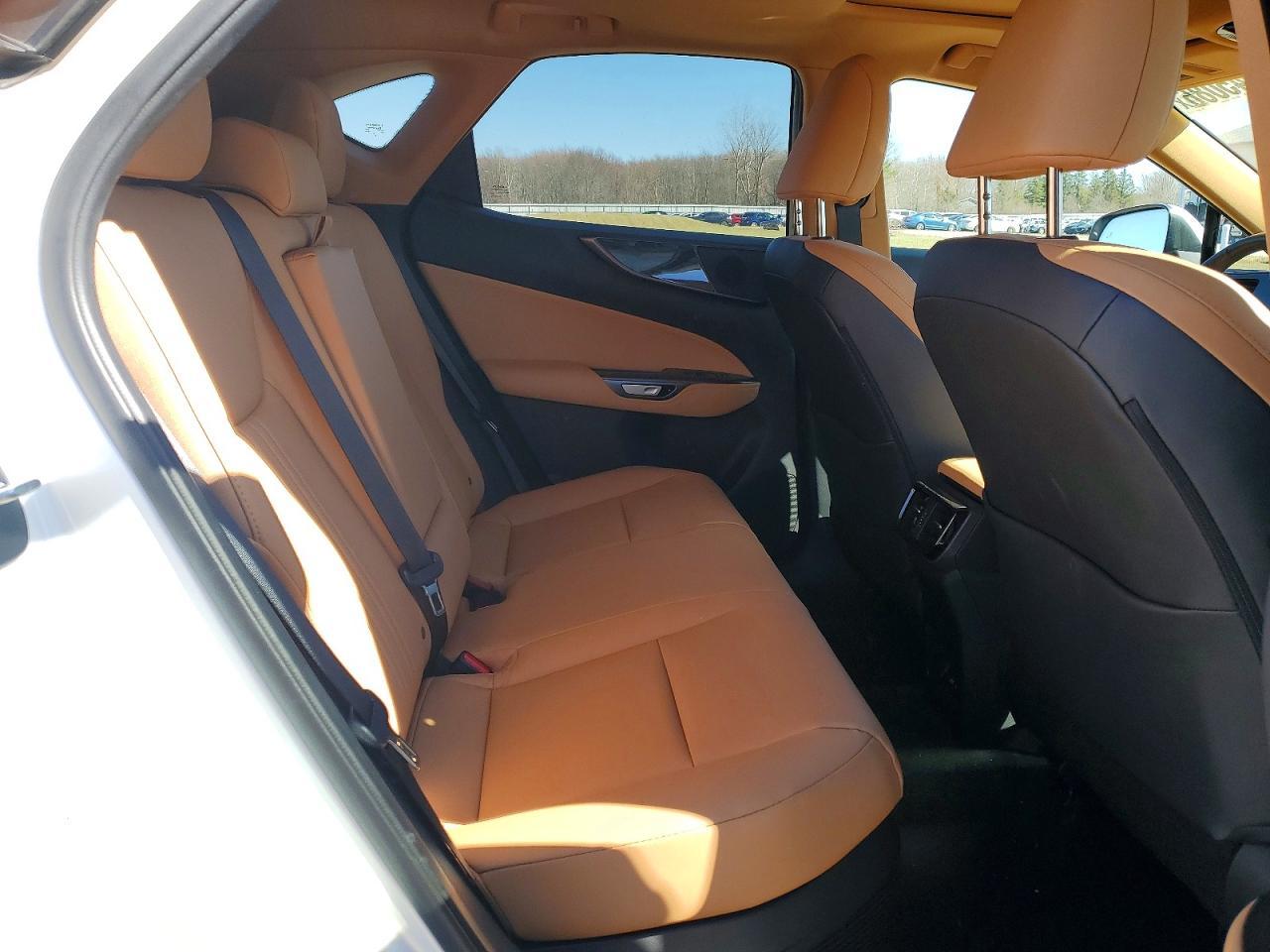 2025 Lexus Nx 350H Premium - zdjęcie 11