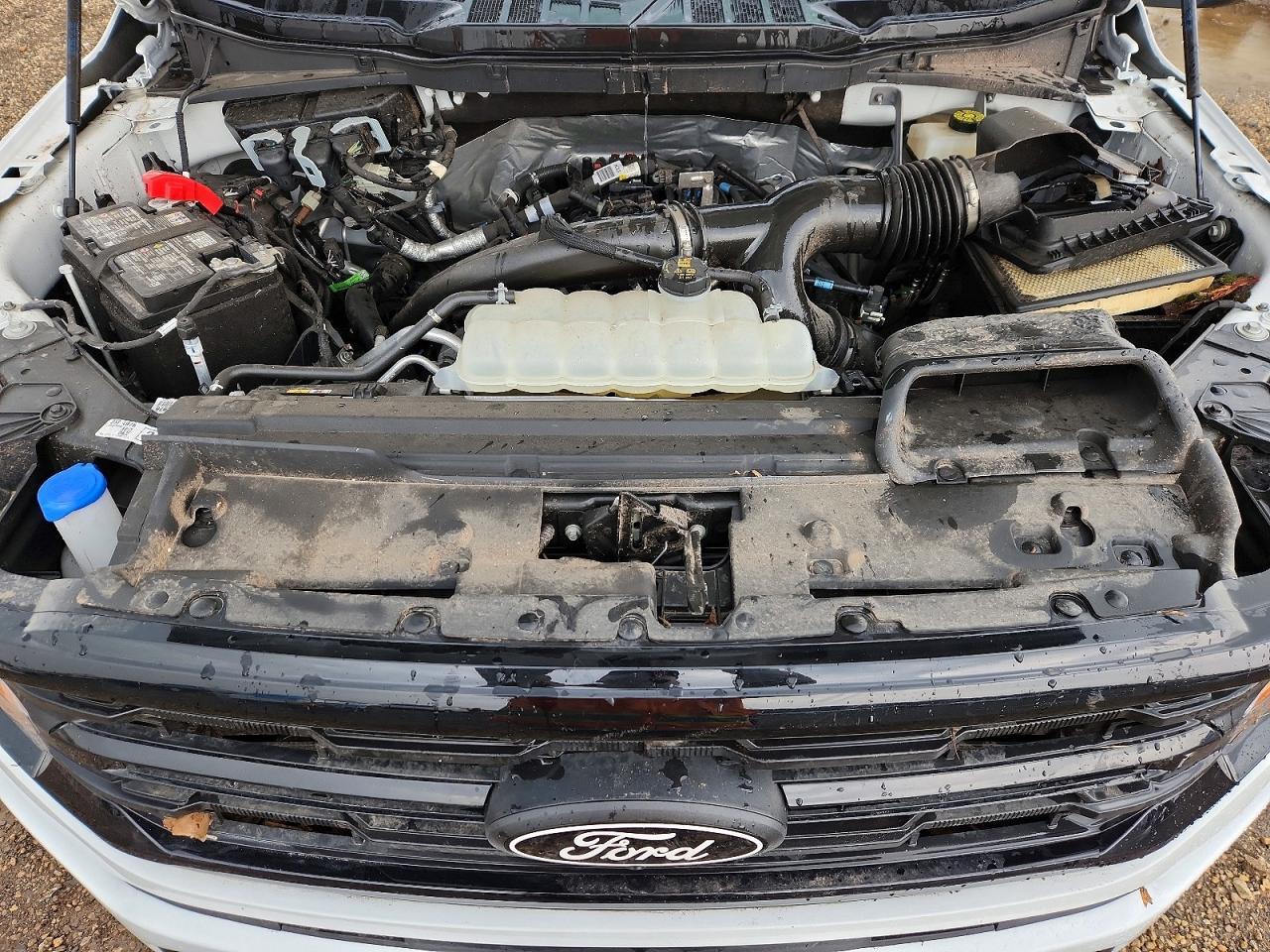 2024 Ford F150 Stx - zdjęcie 11