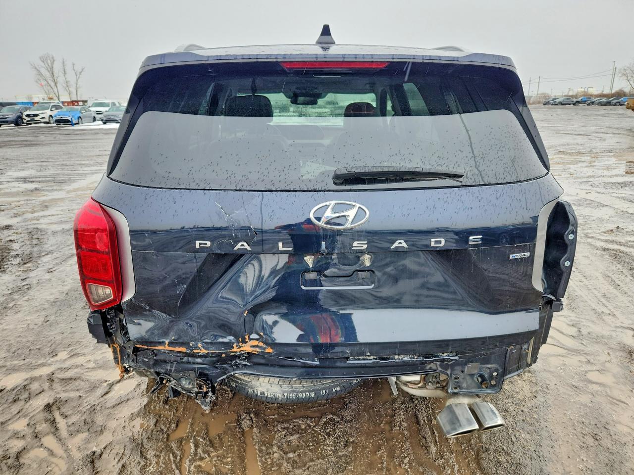 2021 Hyundai Palisade Sel - zdjęcie 6
