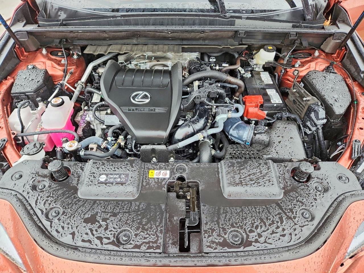 2025 Lexus Nx 350 Base - zdjęcie 12