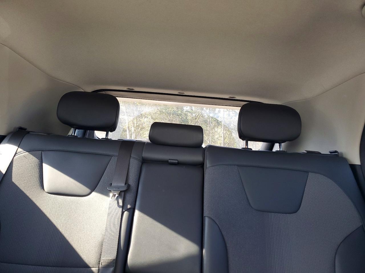 2023 Kia Niro Ev Wind - zdjęcie 10